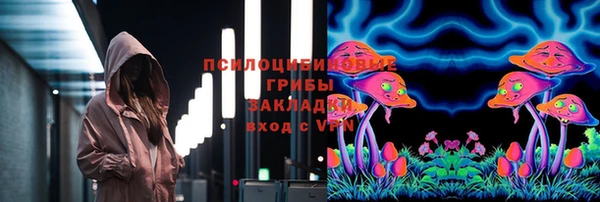 ПСИЛОЦИБИНОВЫЕ ГРИБЫ Кулебаки