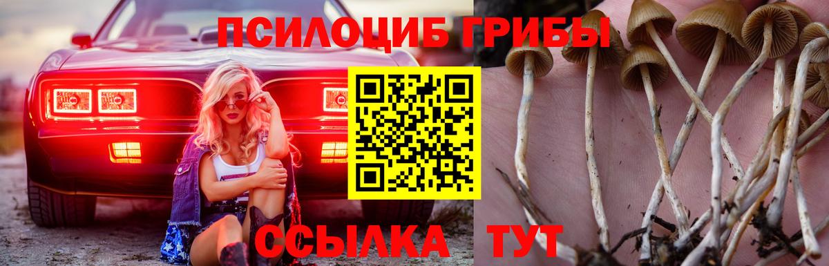 Серпухов  Псилоцибиновые грибы мухоморы  Вход с VPN 